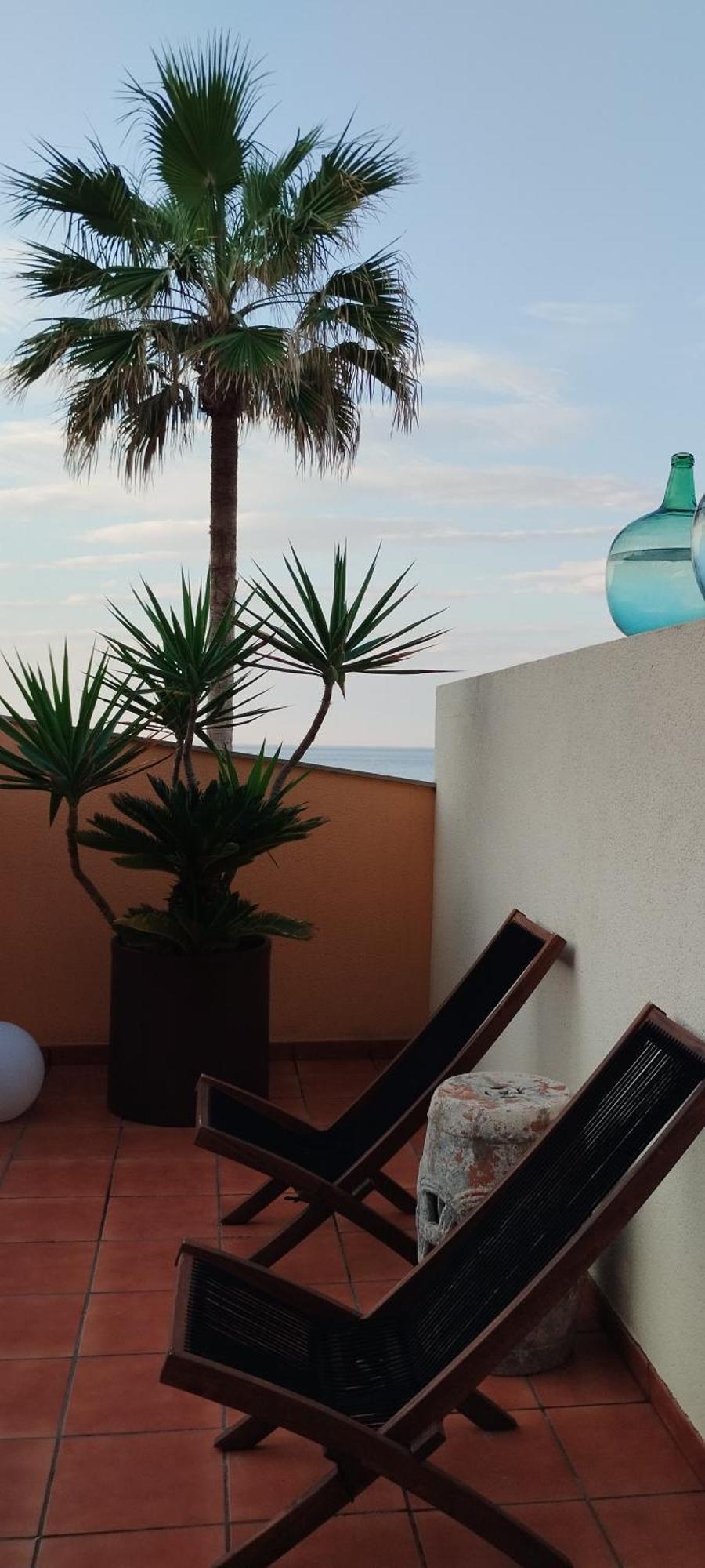 Facing The Ocean Appartement Santa Maria de Guia de Gran Canaria Buitenkant foto